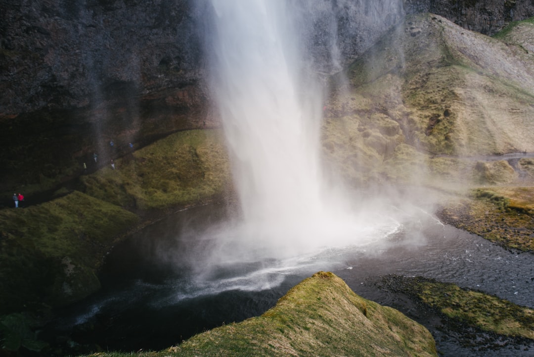 The Thrill of Embracing the Great Outdoors